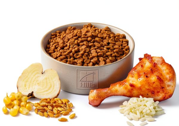 Hills Science Diet Adult 11+ Senior Dry Cat Food - Chicken 3.5 lb-2