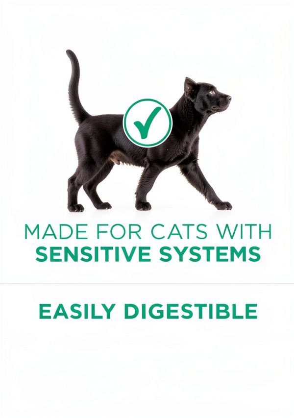 Purina ONE Sensitive Stomach Dry Cat Food Turkey 16 lb Natural Formula-3
