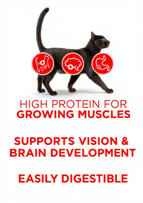 Purina ONE High Protein Kitten Food - Natural Dry 16lb - Chicken & DHA-3