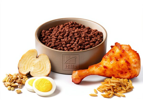 Hill's Science Diet Indoor Kitten Dry Cat Food Chicken 7 lb-3