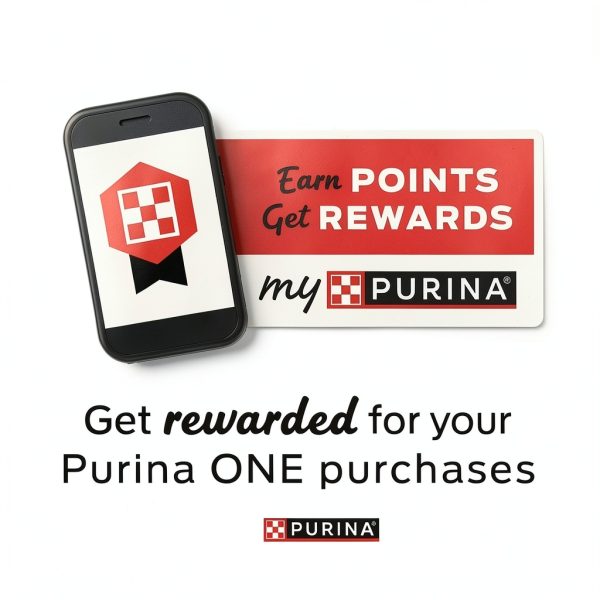 Purina ONE Sensitive Stomach Dry Cat Food Turkey 16 lb Natural Formula-9