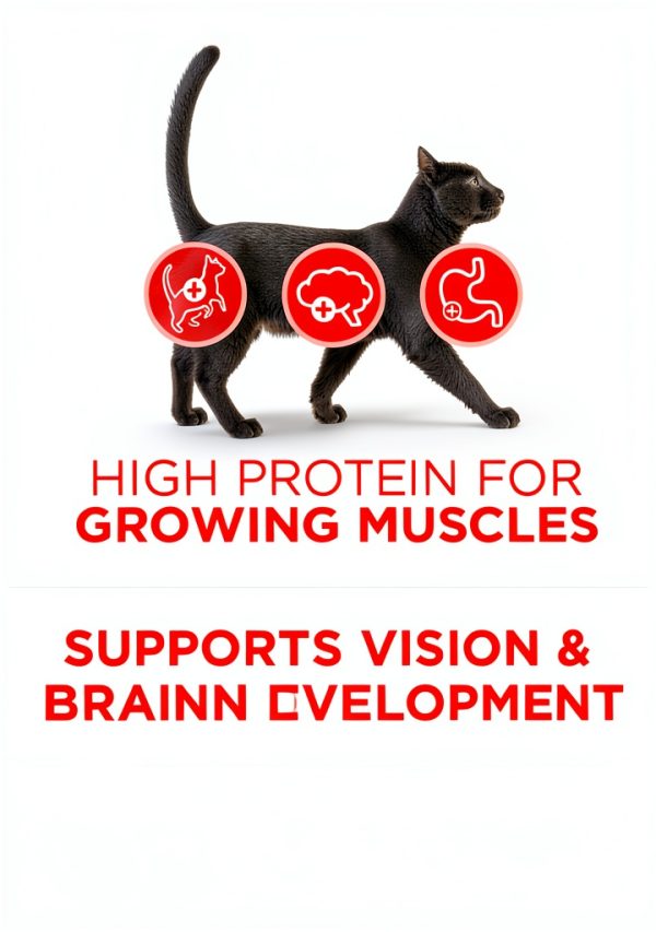 Purina ONE High Protein Natural Dry Kitten Food Plus 7lb Chicken-3