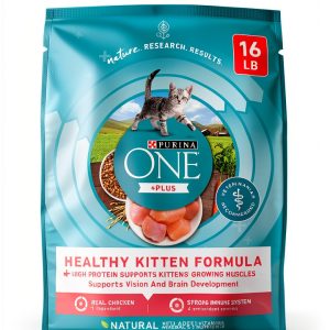Purina ONE High Protein Kitten Food - Natural Dry 16lb - Chicken & DHA-0