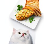 Purina Fancy Feast Dry Cat Food with Savory Farm-Raised Chicken and Turkey - 3 lb. Bag-0