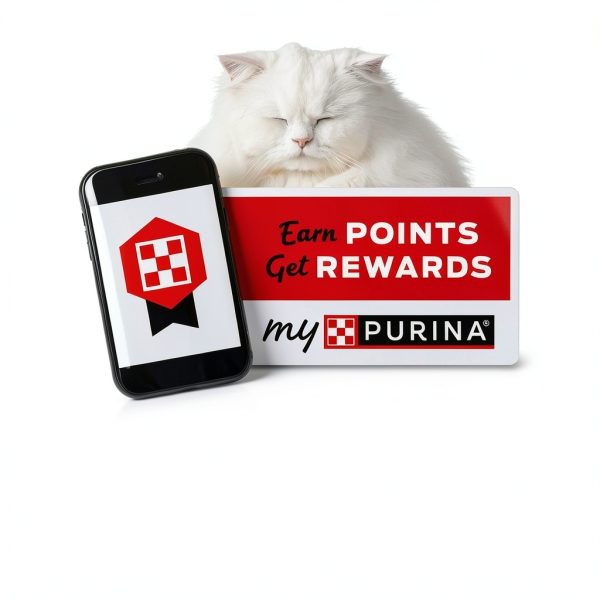 Fancy Feast Purina Filet Mignon Flavor with Real Seafood & Shrimp Dry Cat Food (7 Ounce (Pack of 1))-11