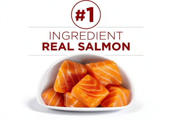 Purina ONE Dry Cat Food Tender Selects with Real Salmon 7 lb-1