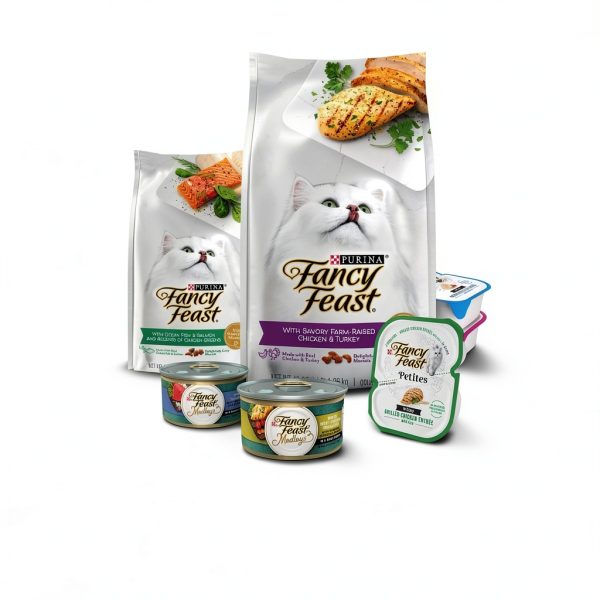 Fancy Feast Purina Filet Mignon Flavor with Real Seafood & Shrimp Dry Cat Food (7 Ounce (Pack of 1))-6