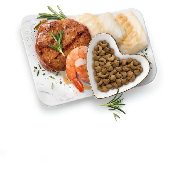 Fancy Feast Purina Filet Mignon Flavor with Real Seafood & Shrimp Dry Cat Food (7 Ounce (Pack of 1))-3