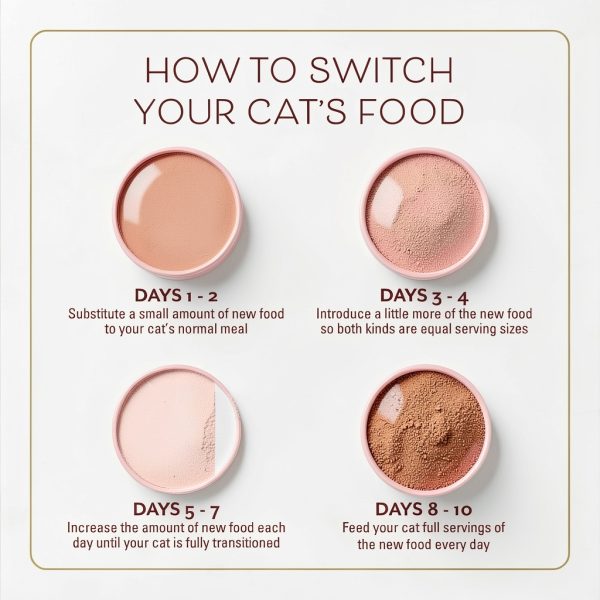 Fancy Feast Purina Filet Mignon Flavor with Real Seafood & Shrimp Dry Cat Food (7 Ounce (Pack of 1))-10